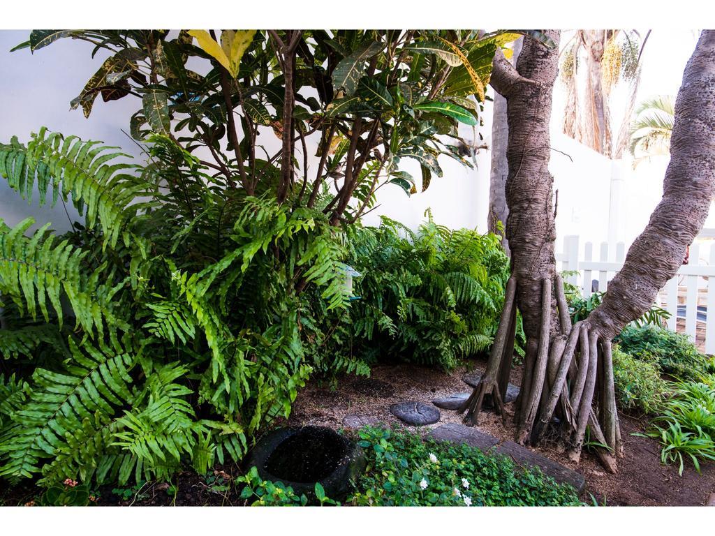 Flamingo Rocks Bed & Breakfast Durban Dış mekan fotoğraf